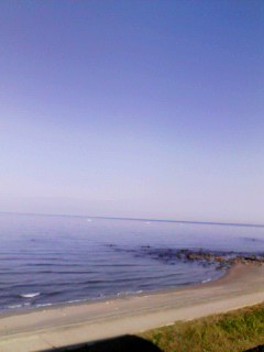 海水浴したら寒くて死んじゃう